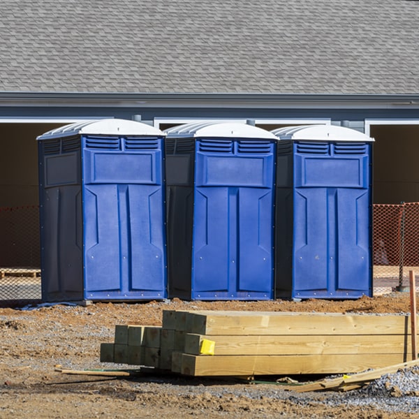 are there different sizes of portable toilets available for rent in Tekamah